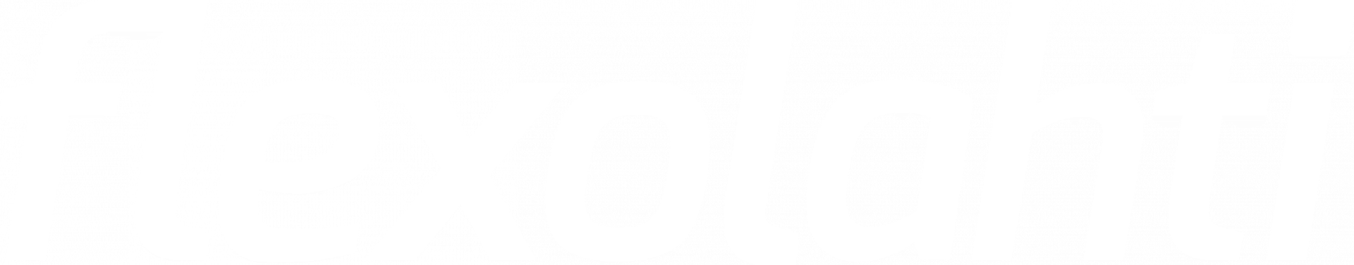 Flexolahti Oy.